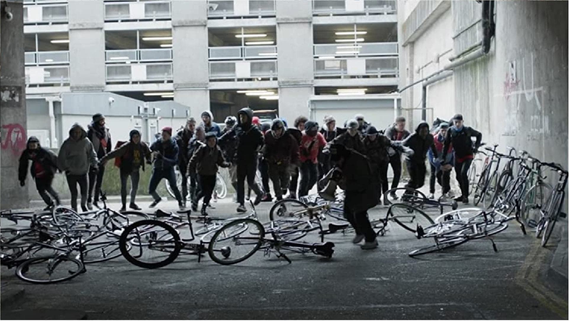 Alleycats - immagine
