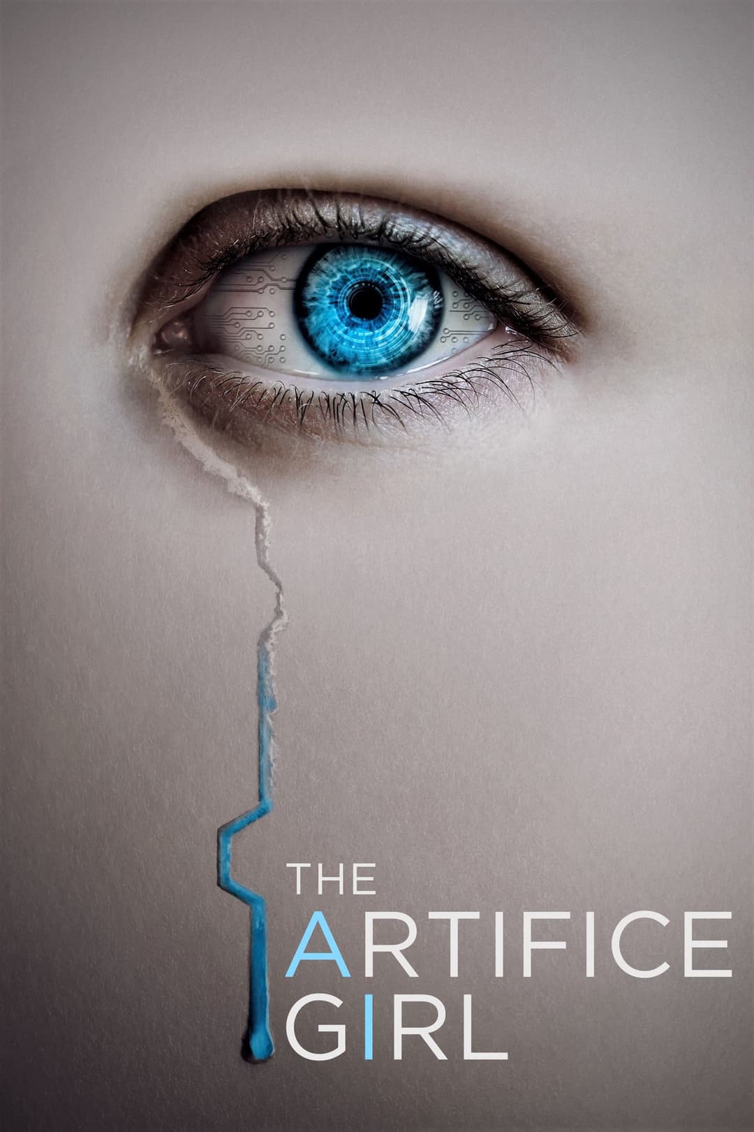 Poster di The Artifice Girl