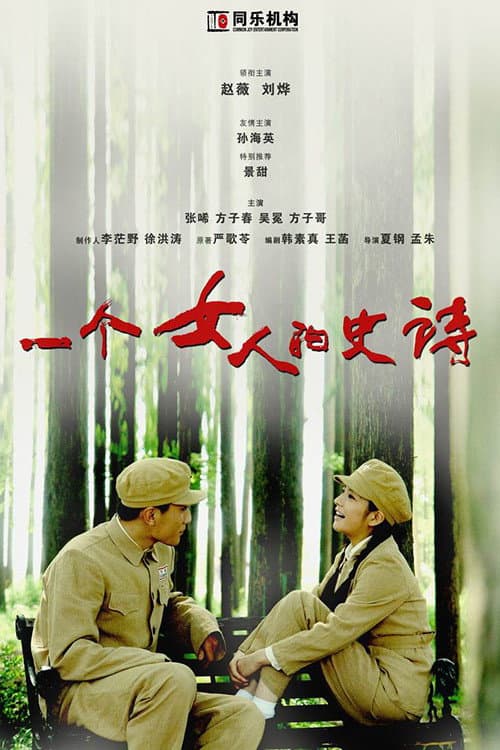 Poster di 一个女人的史诗