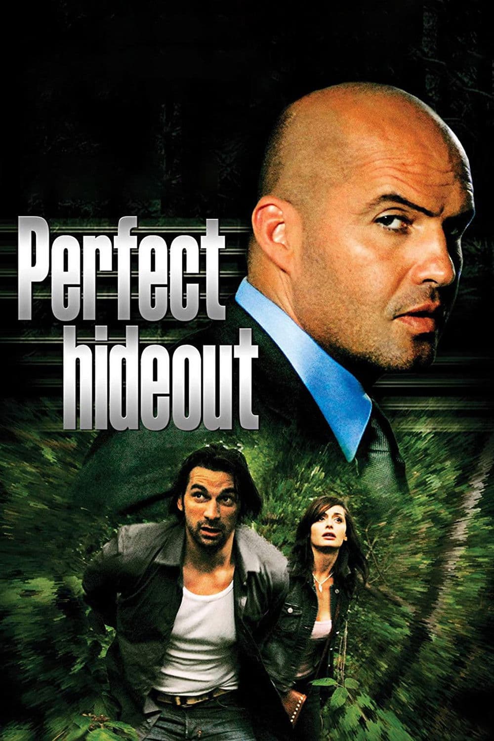 Poster di Perfect Hideout