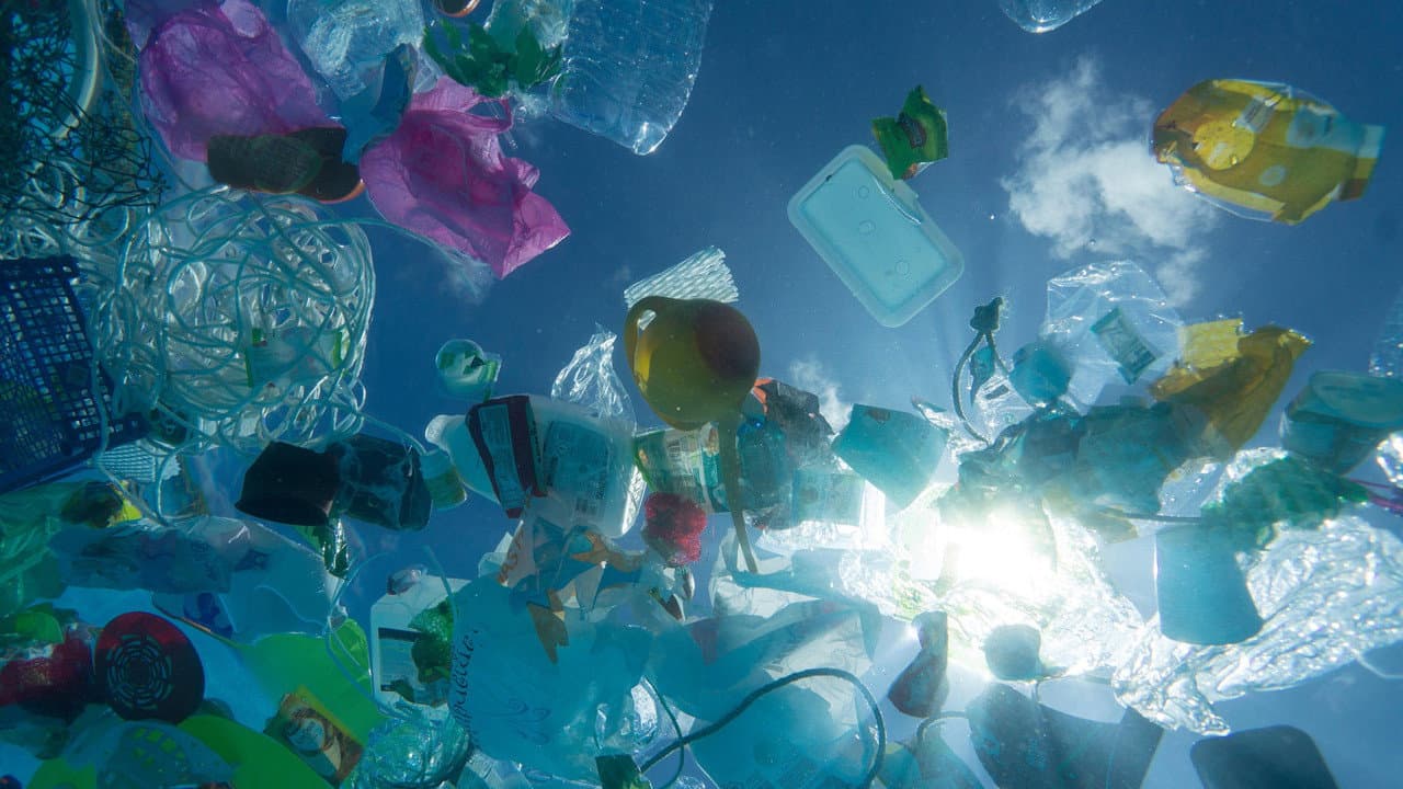 A Plastic Ocean - immagine