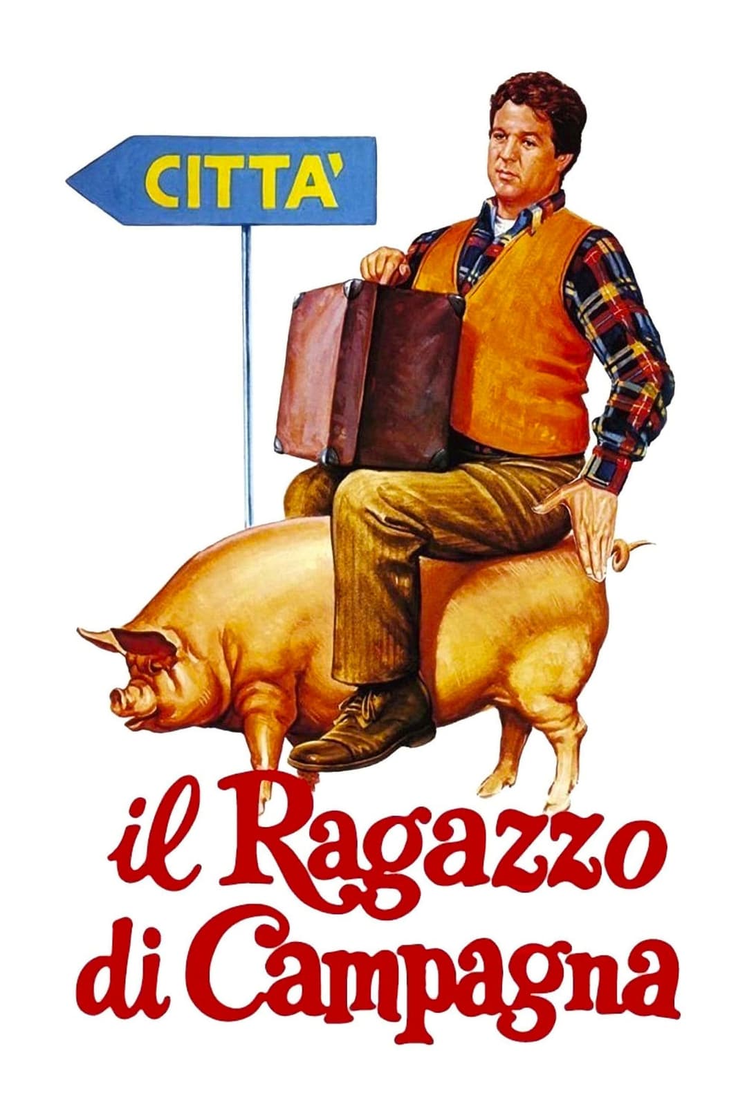 Poster di Il ragazzo di campagna