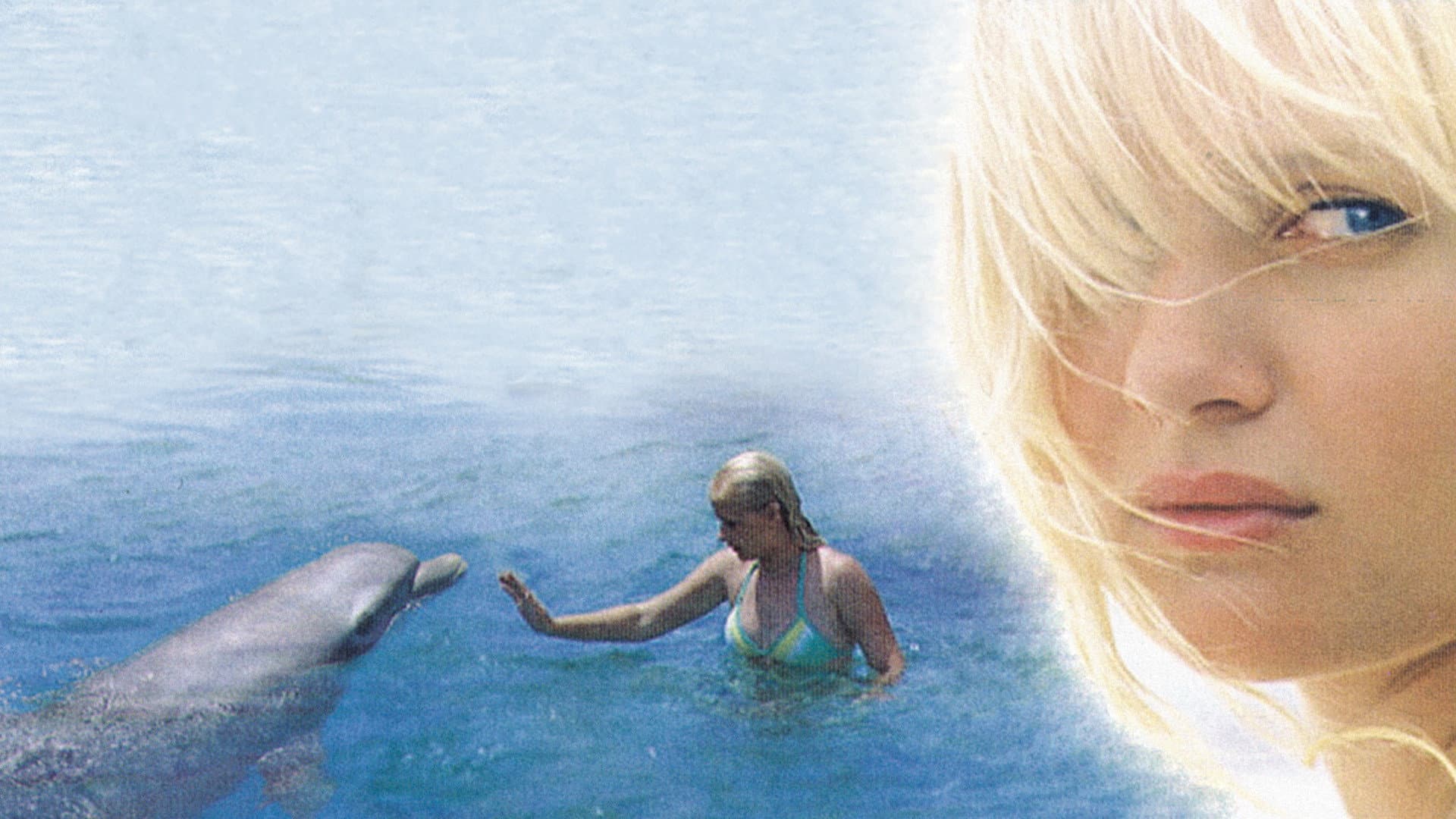 Un delfino per amico - immagine