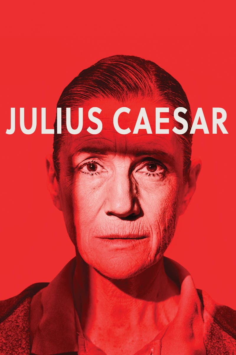 Poster di Julius Caesar