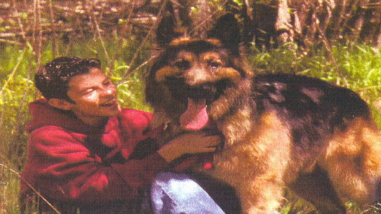 Bring Him Home - immagine