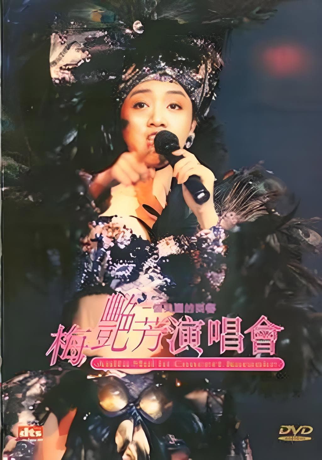 Poster di 梅艳芳一个美丽的回响演唱会