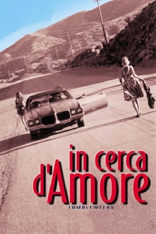 Poster di In cerca d'amore