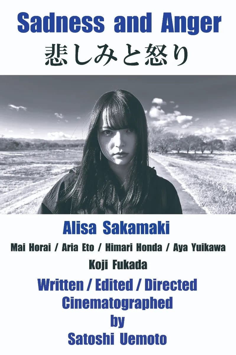 Poster di 悲しみと怒り
