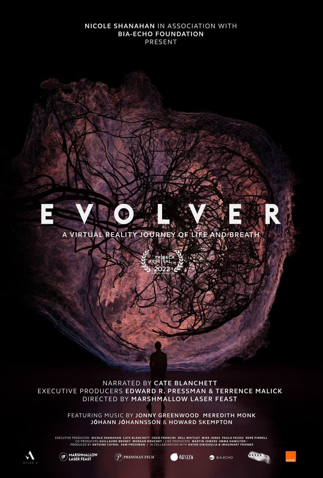 Poster di Evolver
