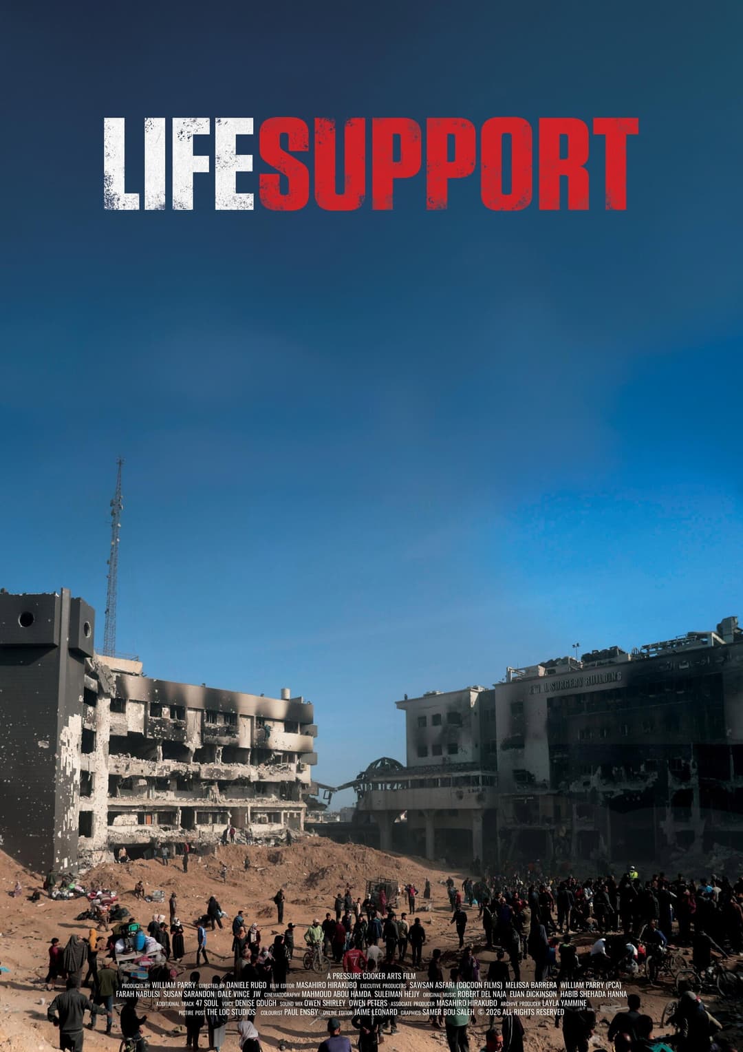 Poster di Life Support