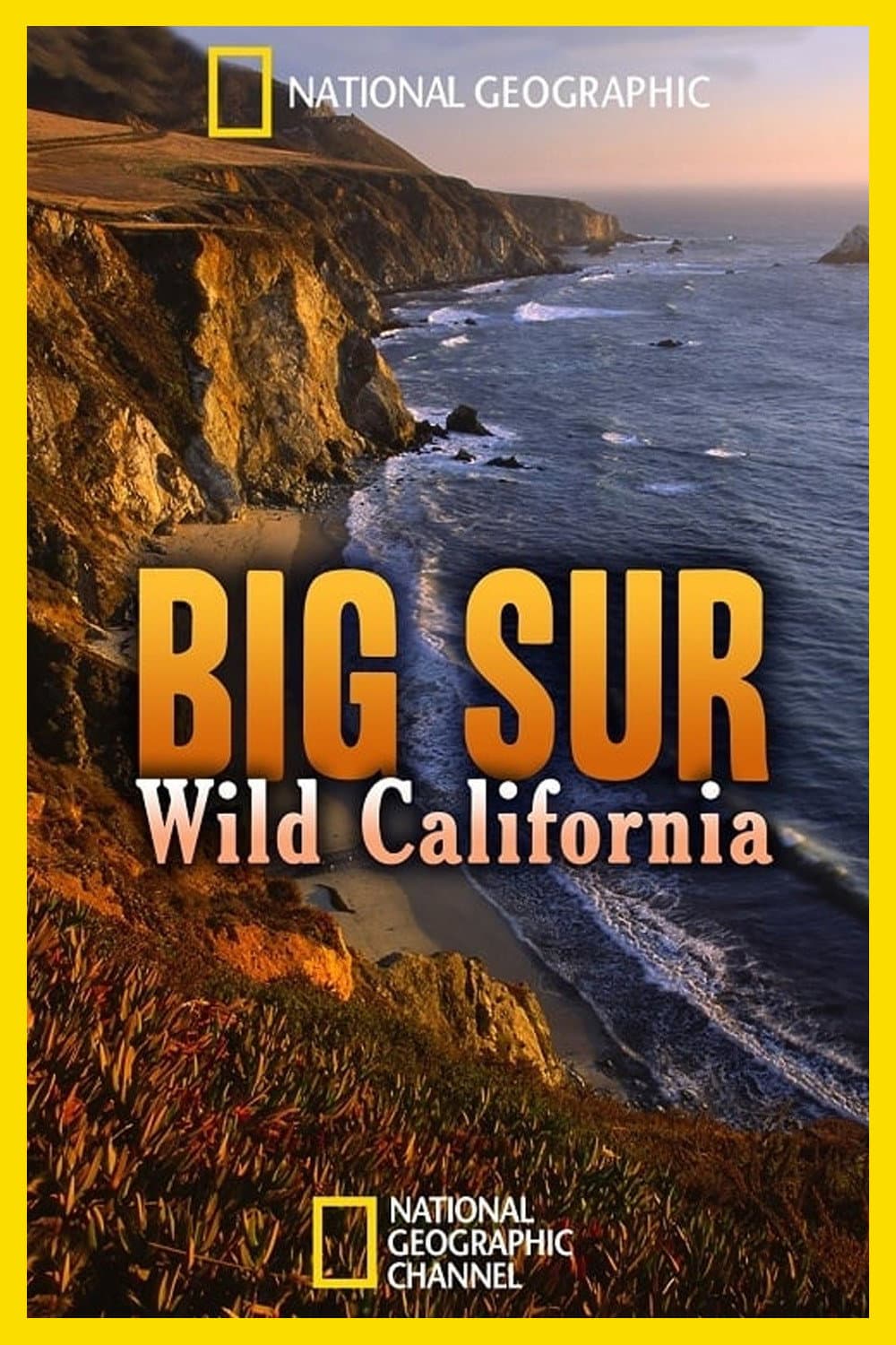 Poster di California selvaggia