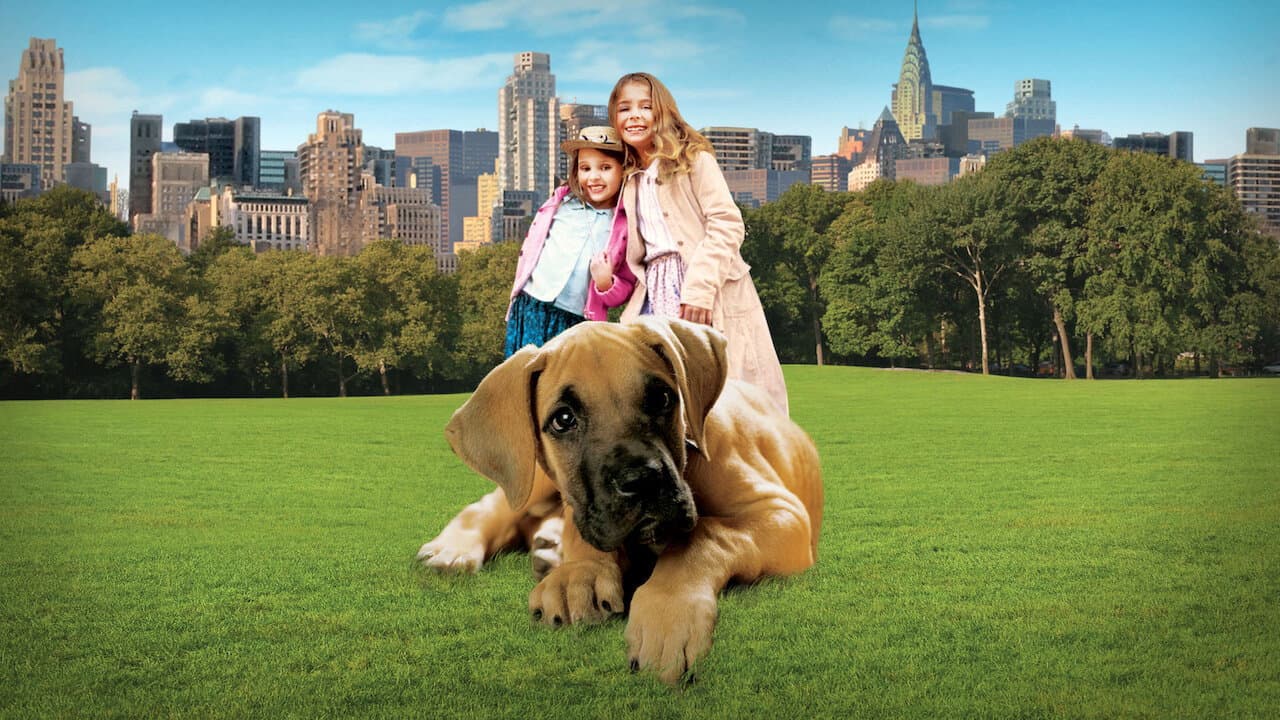 Chestnut - L'eroe di Central Park - immagine