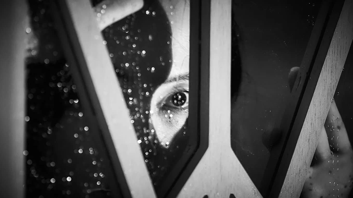 Cobweb - immagine