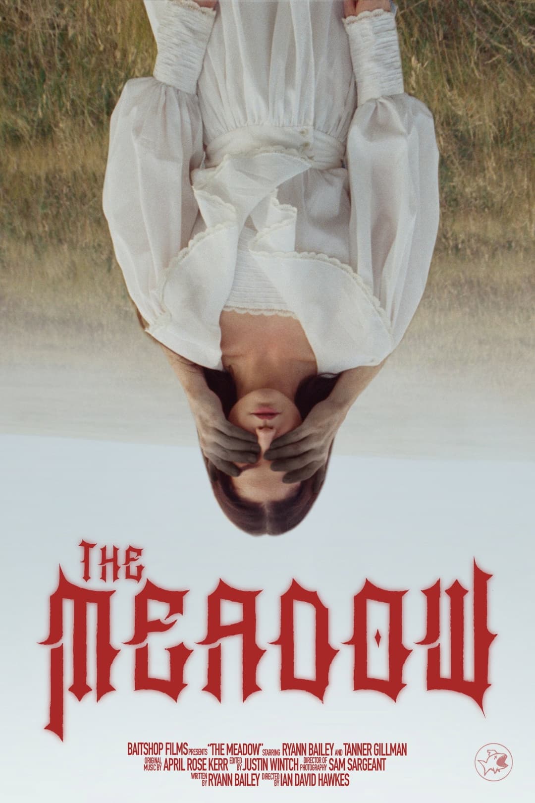Poster di The Meadow