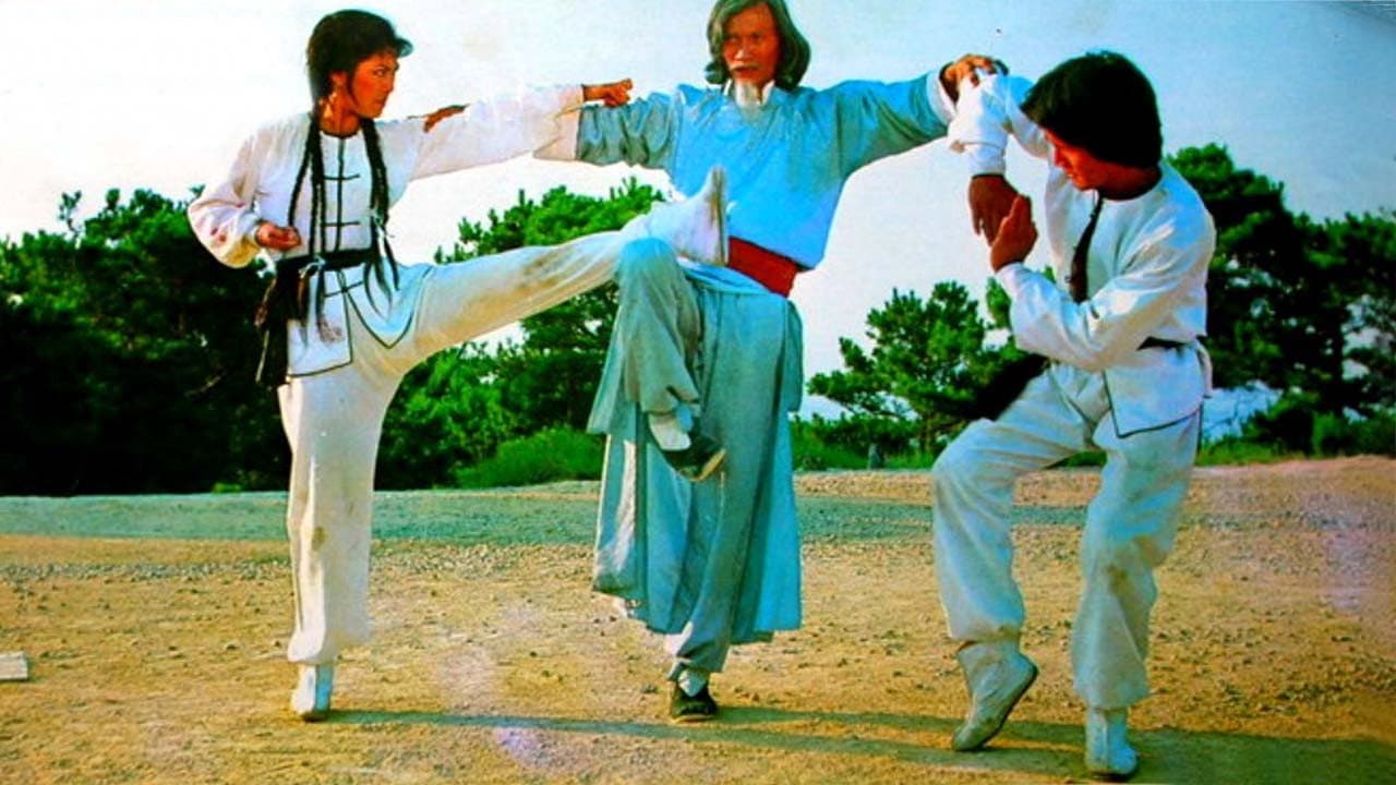 Twins of Kung Fu - immagine