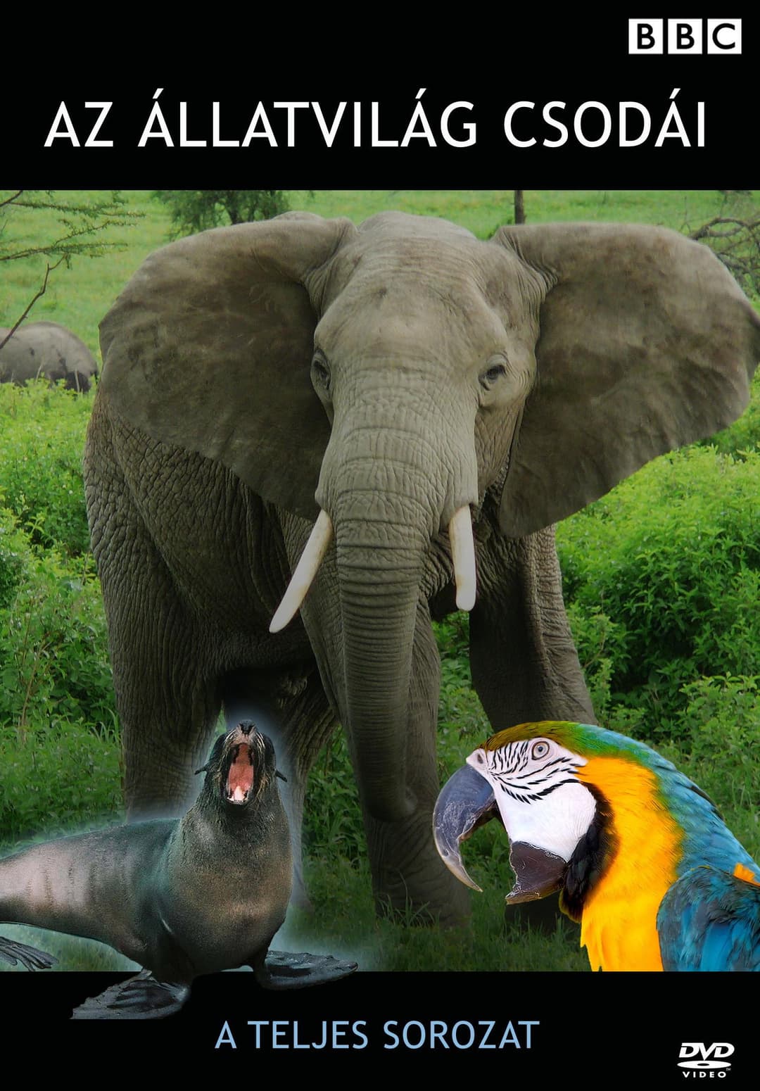 Poster di Extraordinary Animals