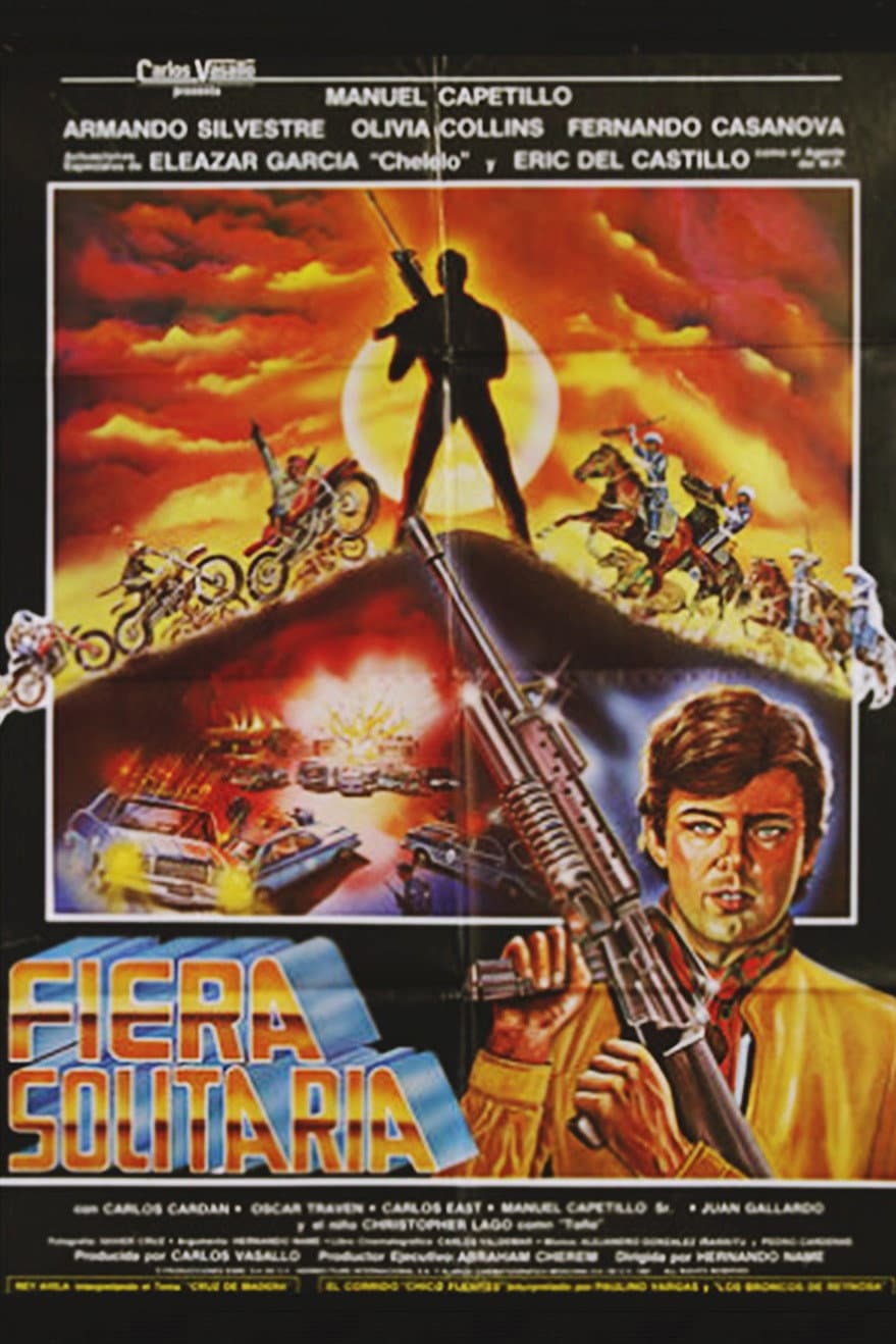 Poster di Fiera solitaria
