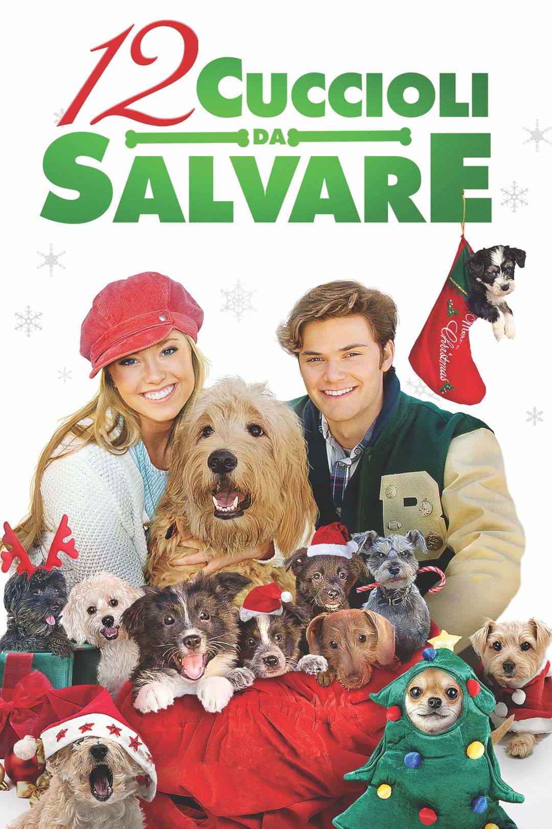 Poster di 12 cuccioli da salvare