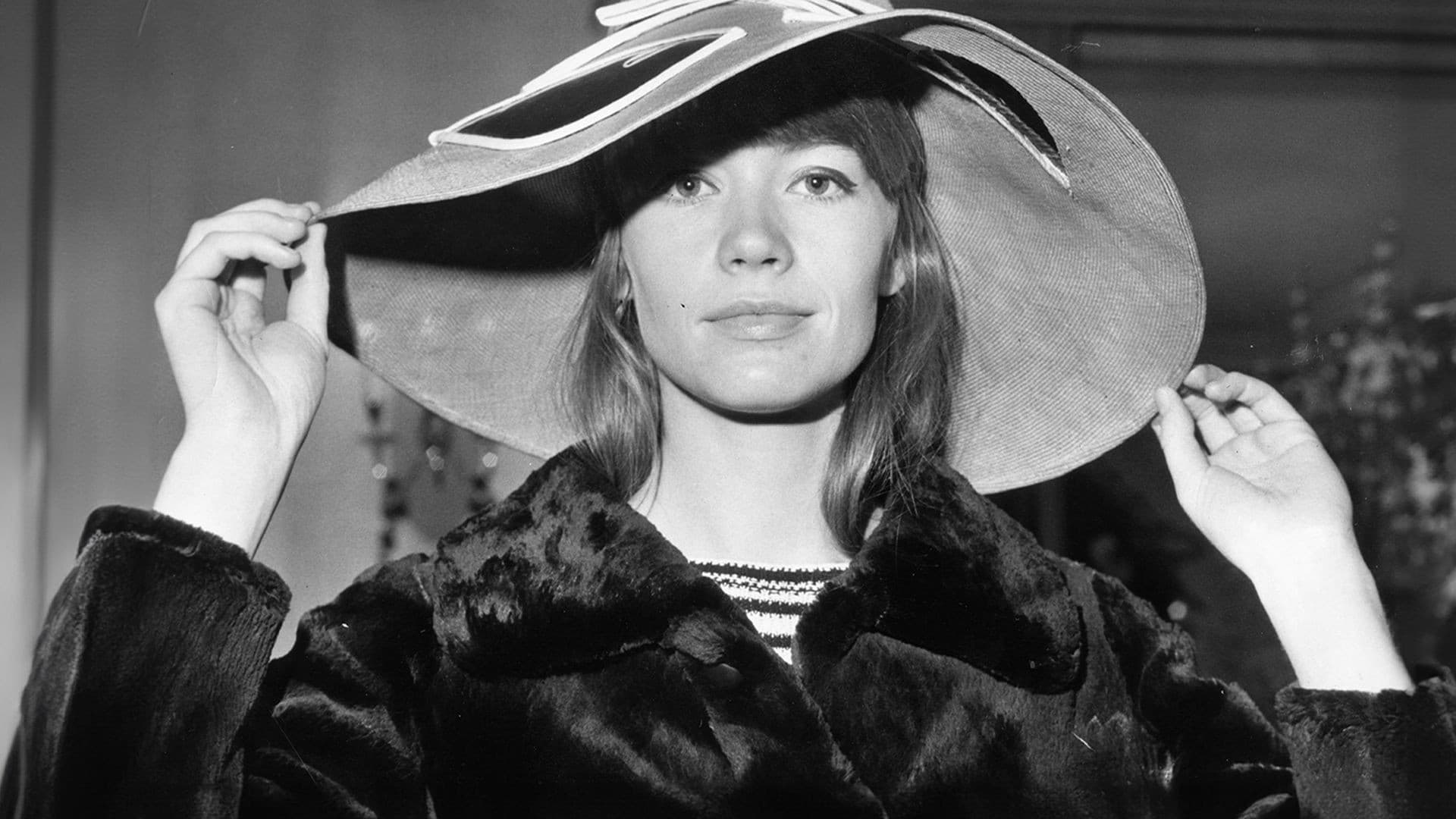 Françoise Hardy : Tant de belles choses... - immagine