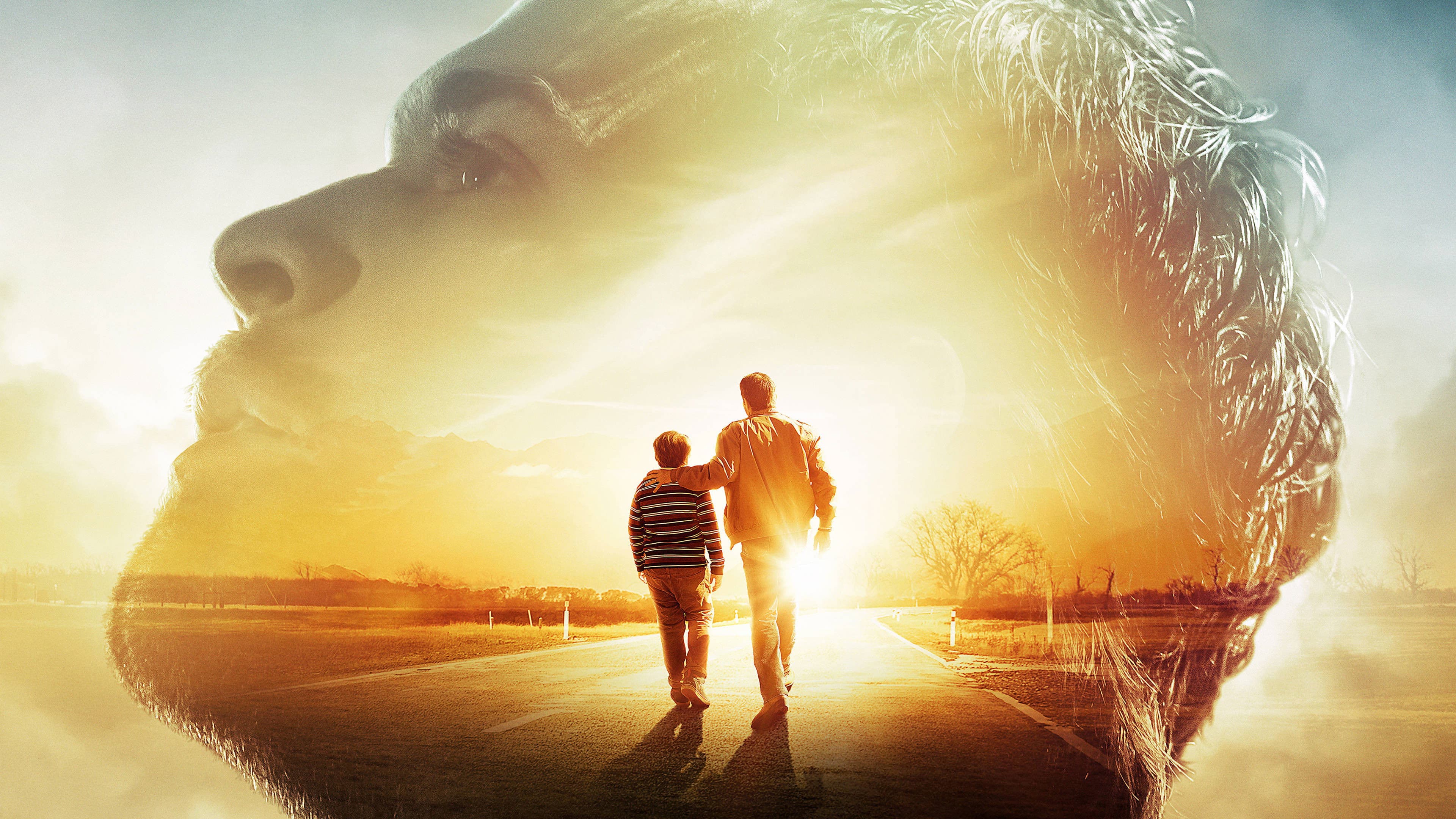 Una canzone per mio padre - immagine