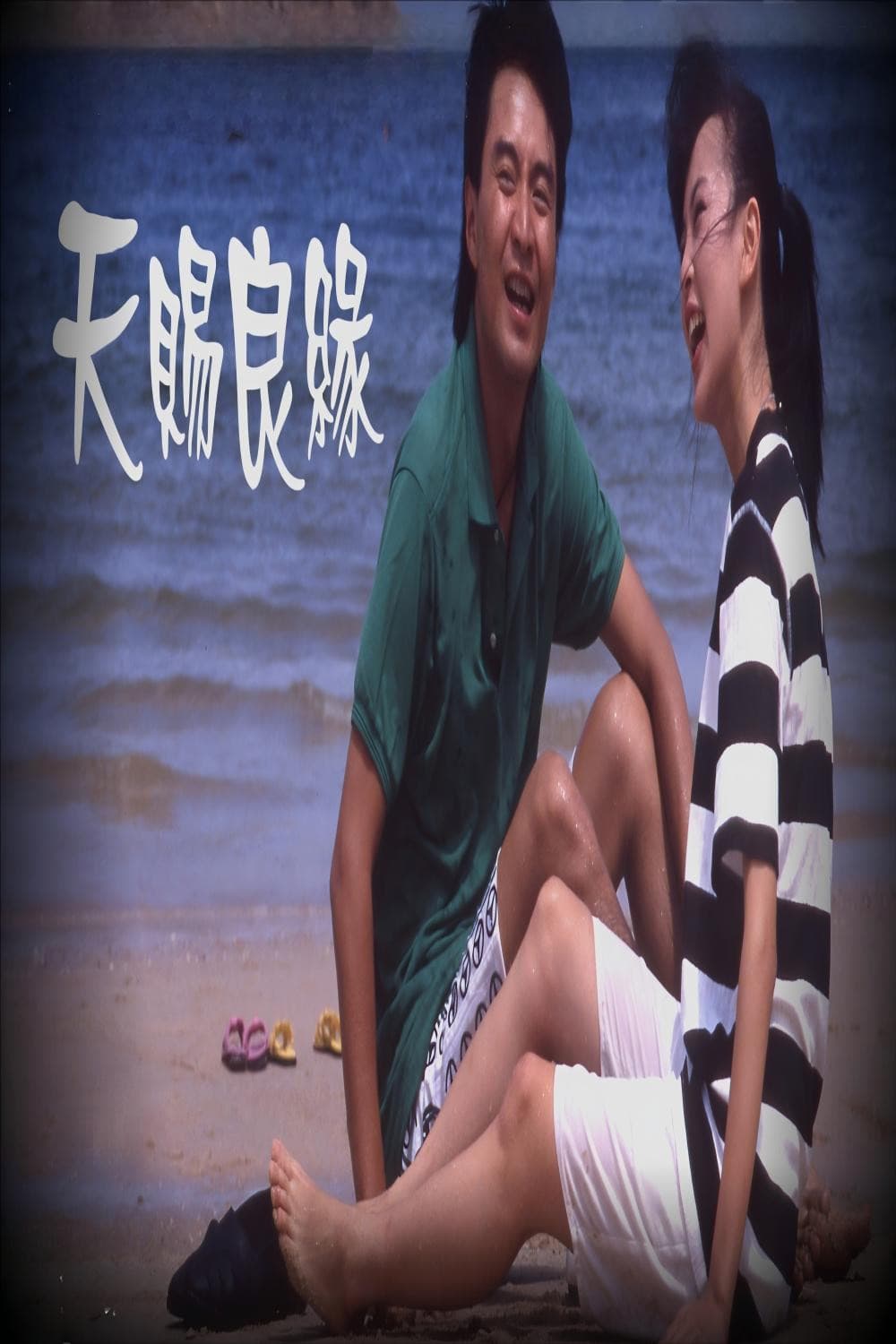 Poster di 天賜良緣