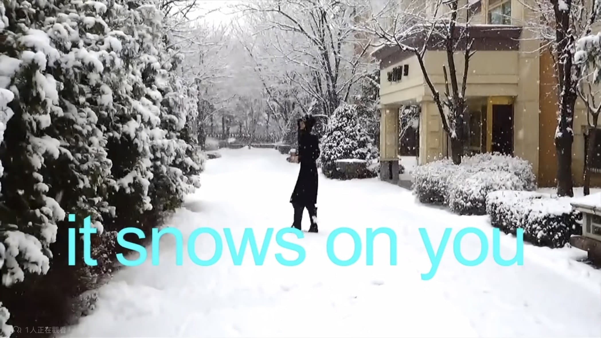 It Snows on You - immagine