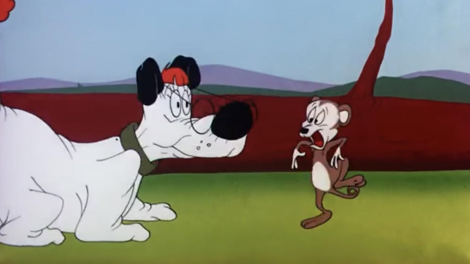 Il letargo dell’Opossum - immagine