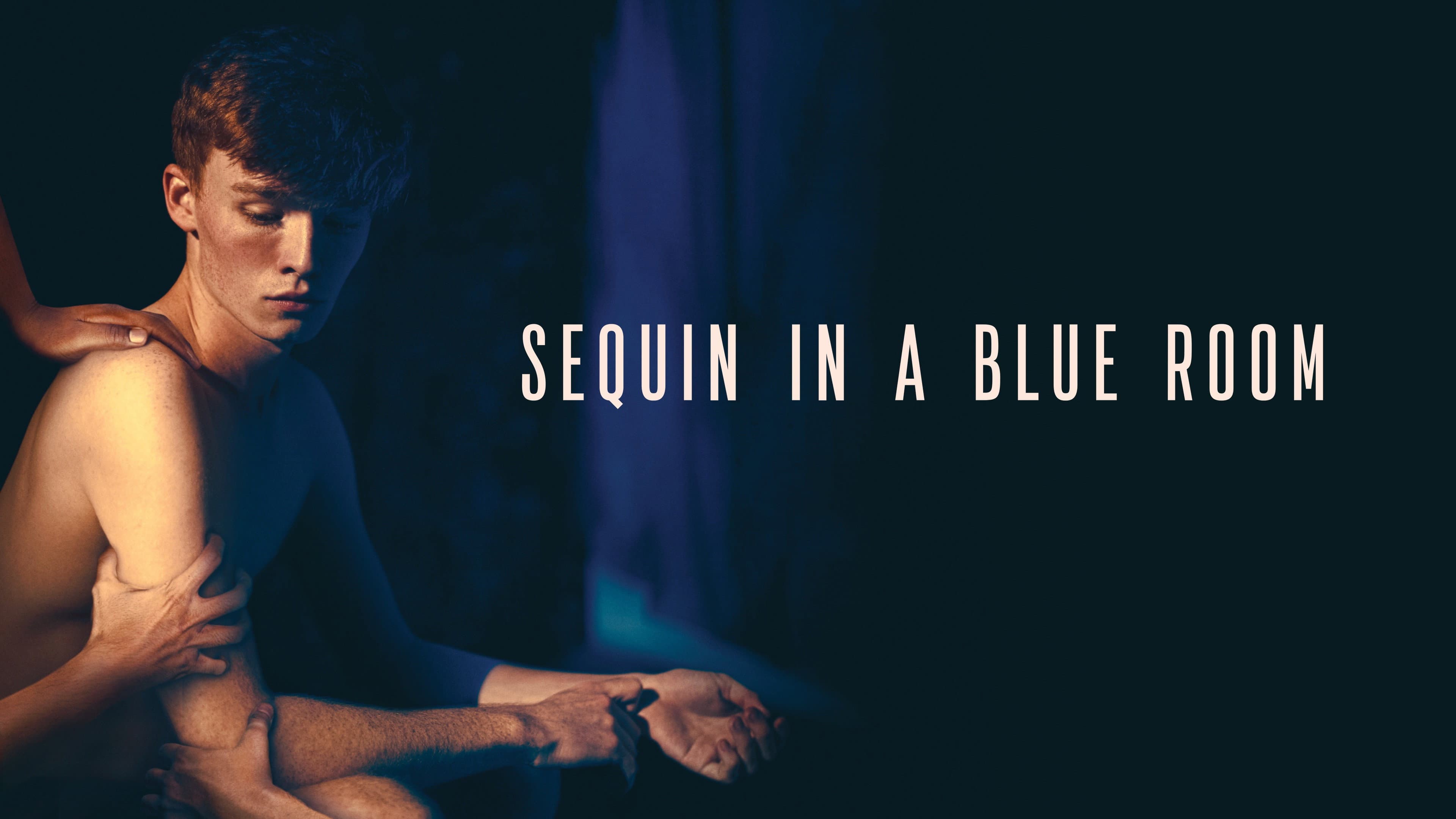 Sequin in a Blue Room - immagine