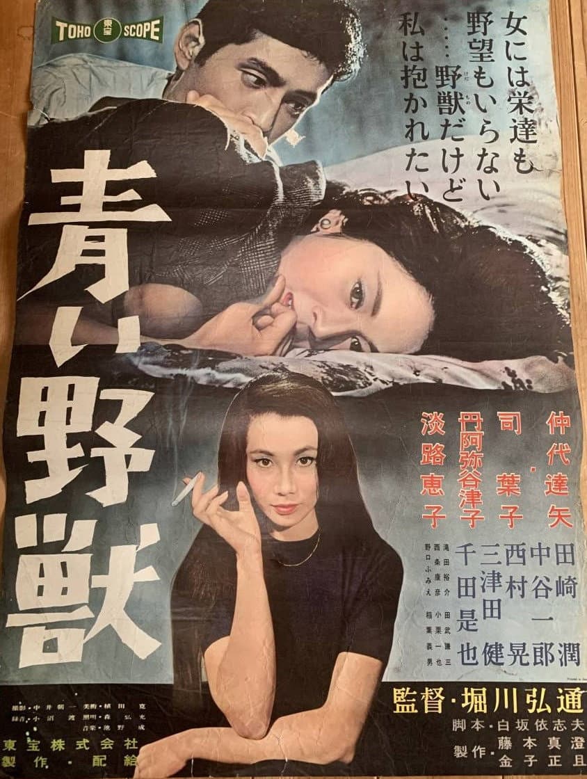 Poster di 青い野獣
