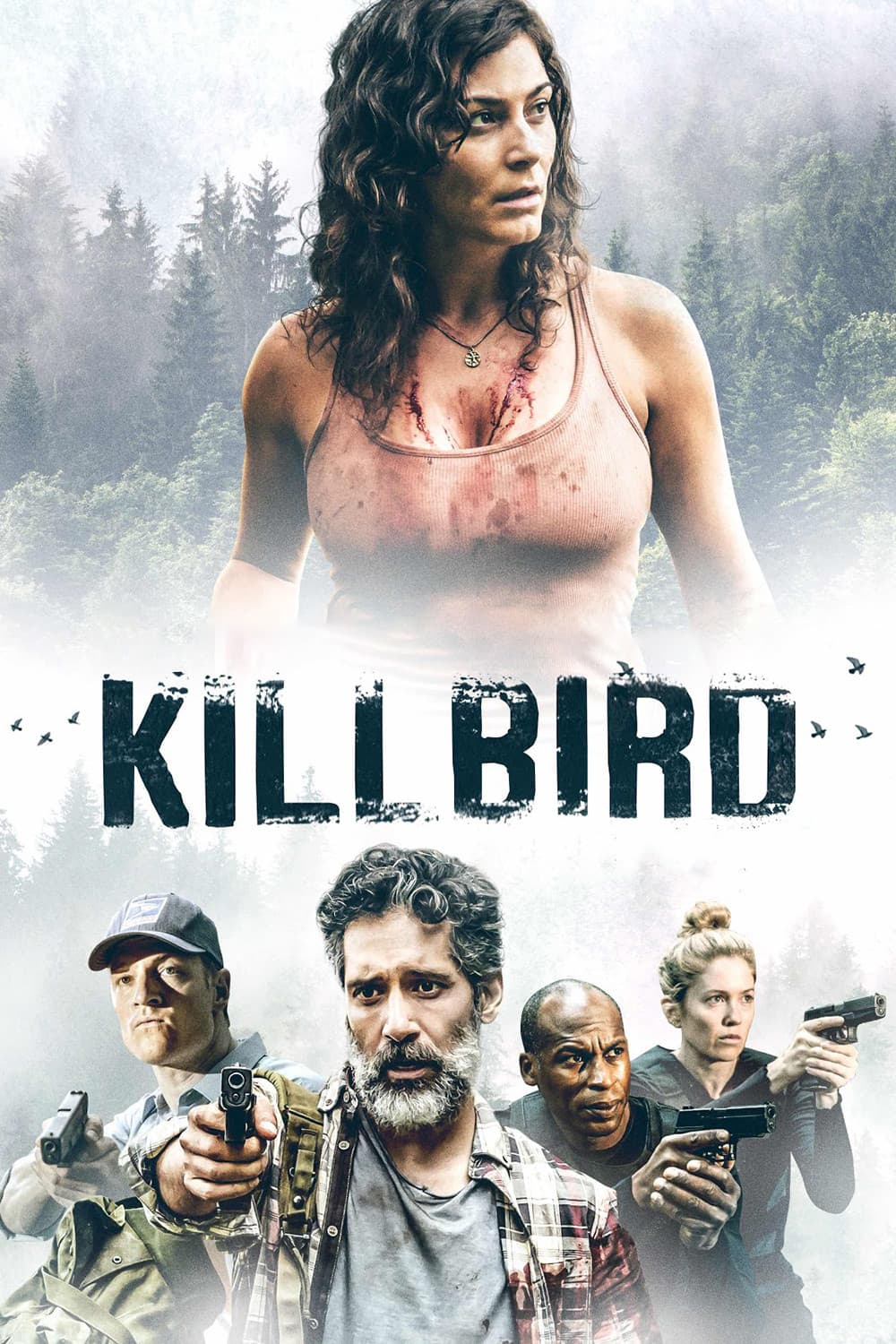 Poster di Killbird - Caccia alla spia