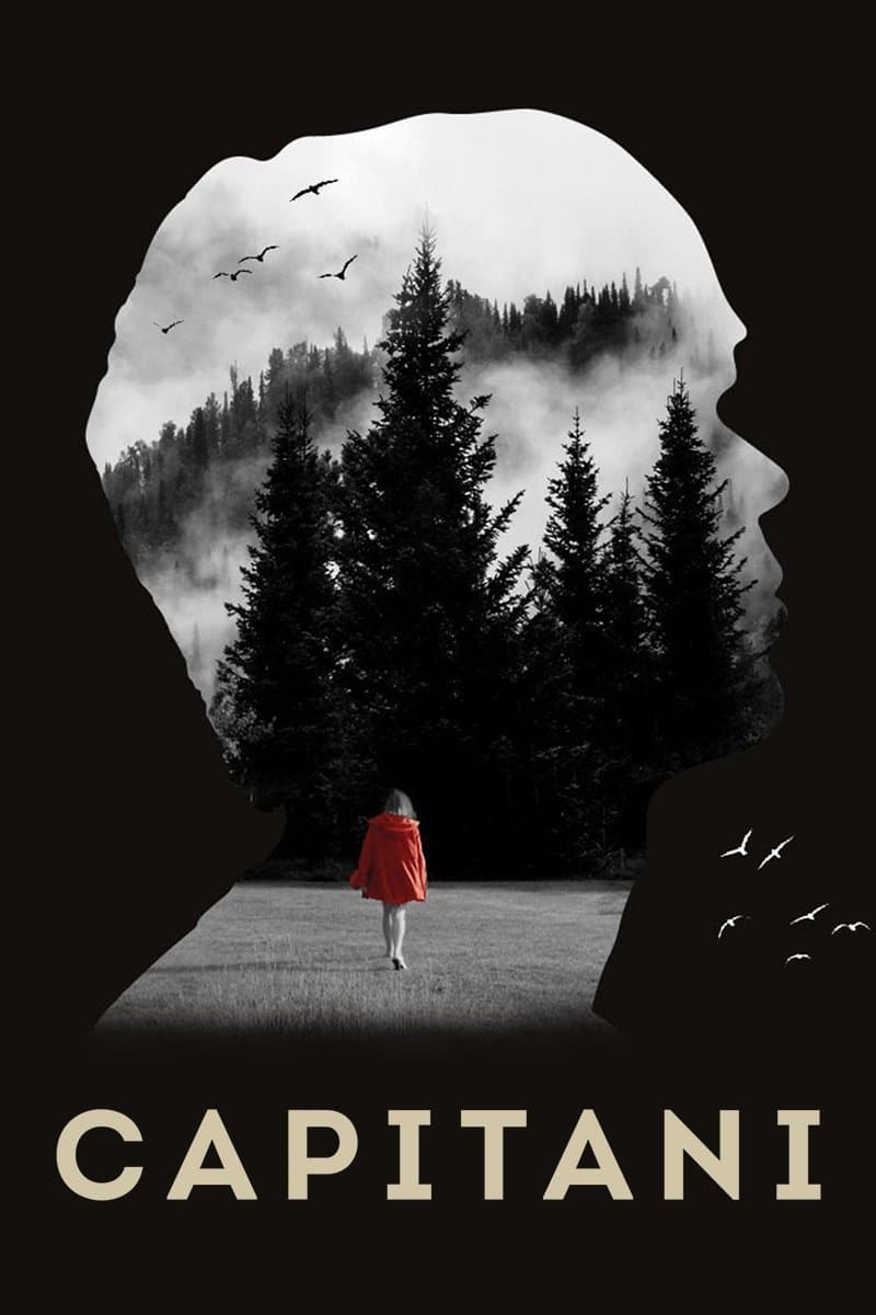 Poster di Capitani