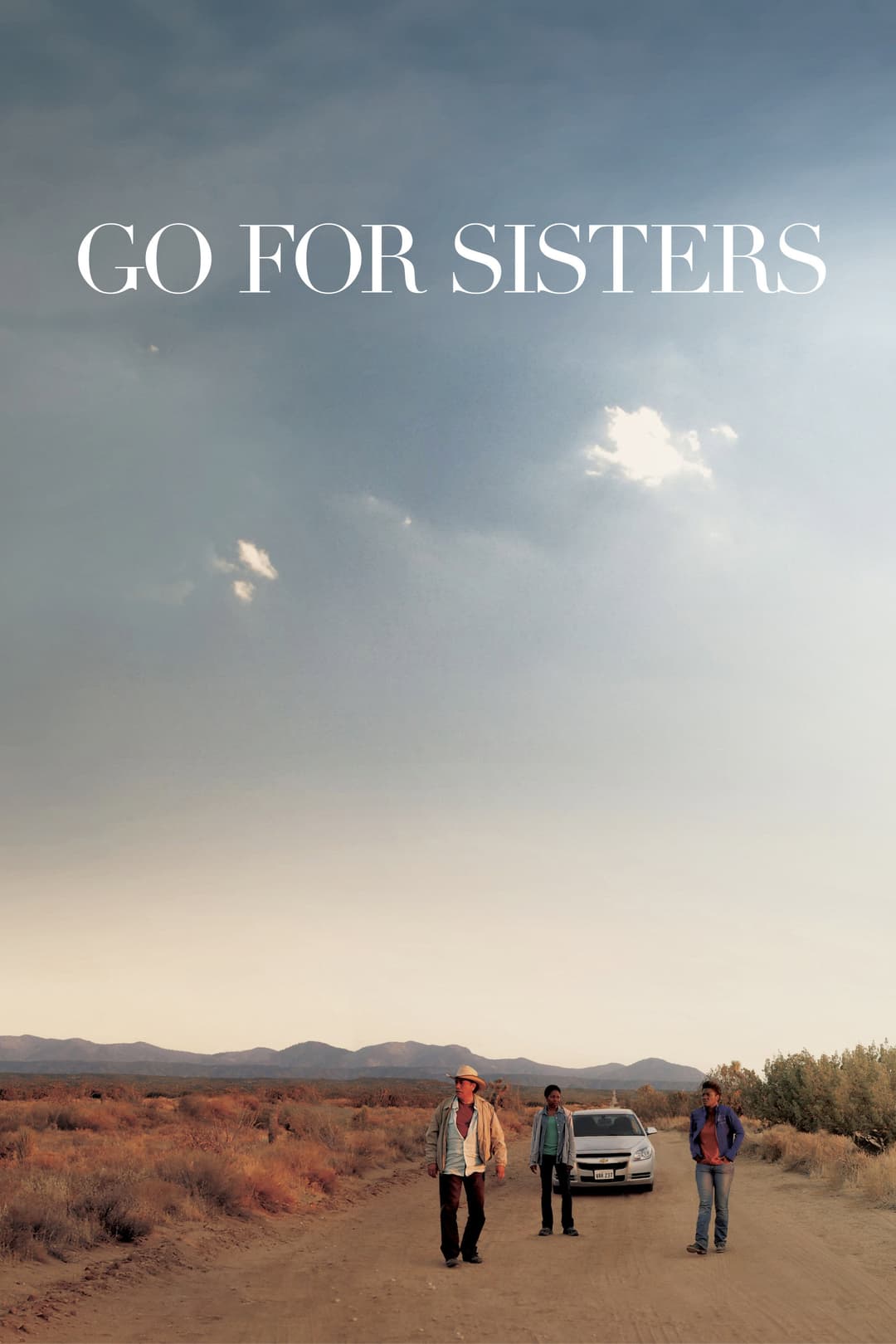 Poster di Go for Sisters