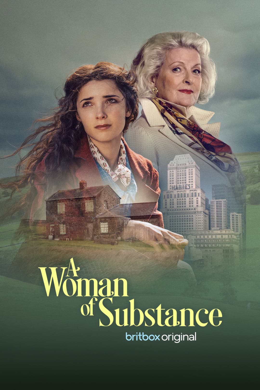 Poster di A Woman of Substance