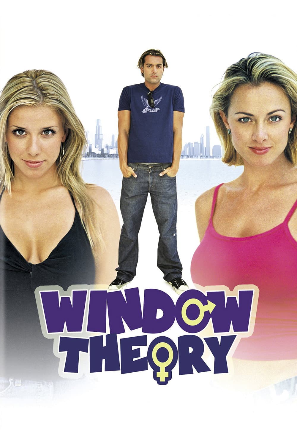 Poster di Window Theory