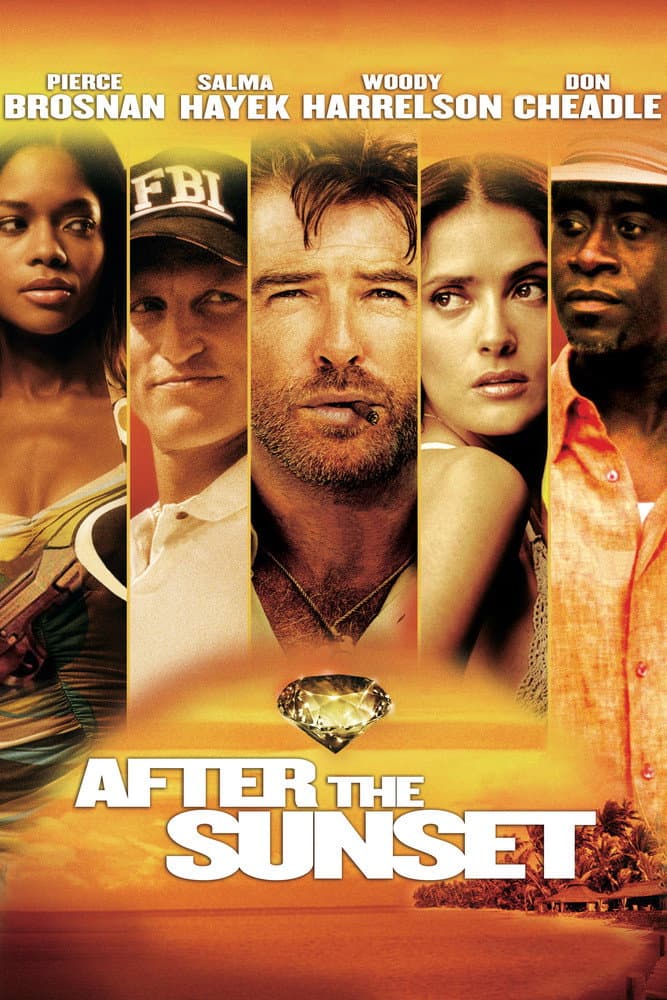 Poster di After the Sunset