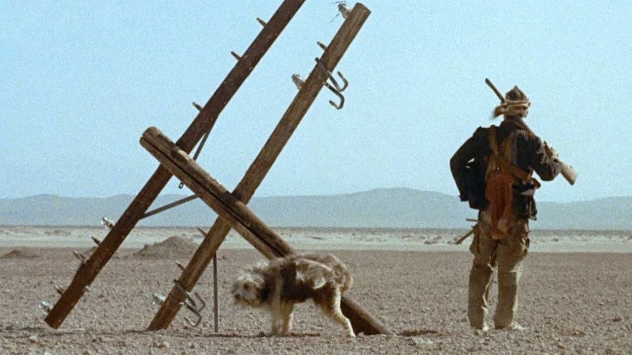 Apocalypse 2024 - Un ragazzo, un cane, due inseparabili amici - immagine