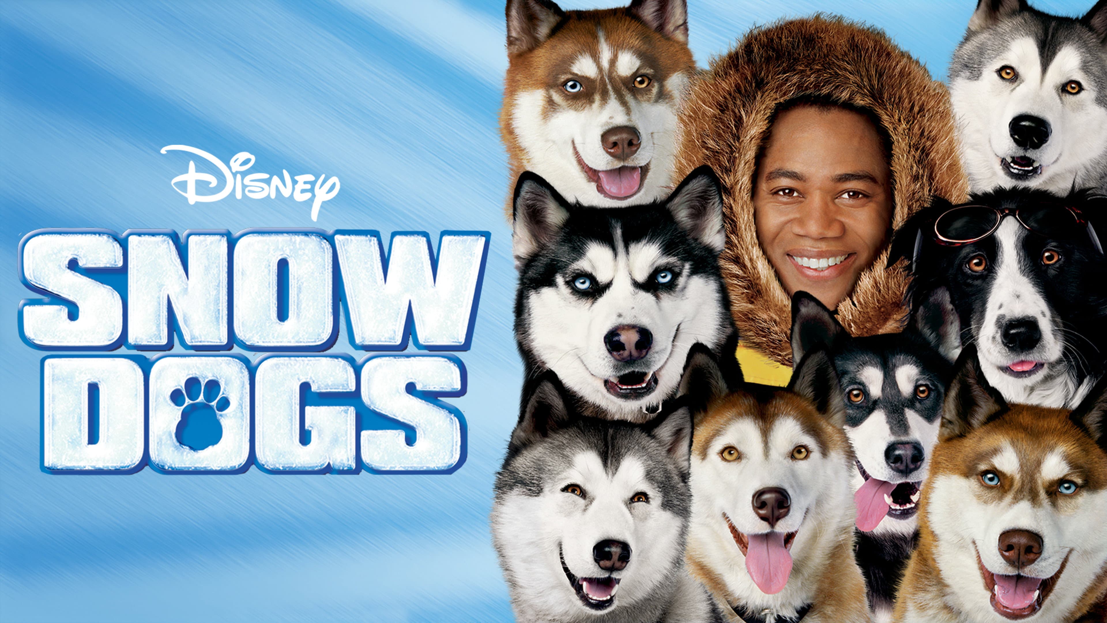 Snow Dogs - 8 cani sotto zero - immagine