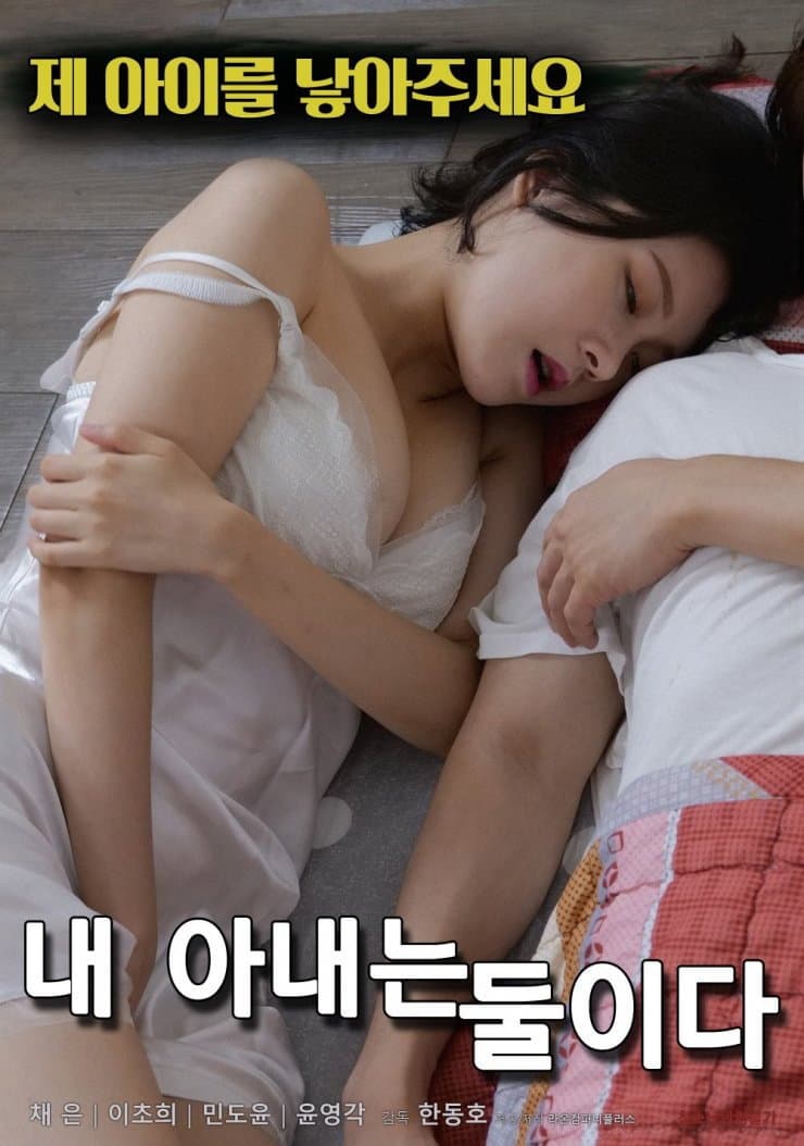 Poster di 내 아내는 둘이다
