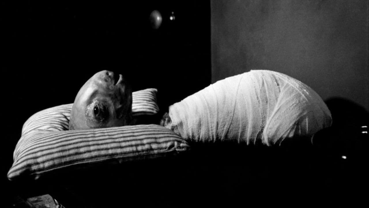 Eraserhead - La mente che cancella - immagine