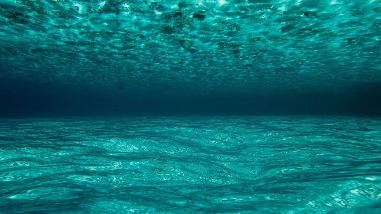 Oceani 3D - immagine