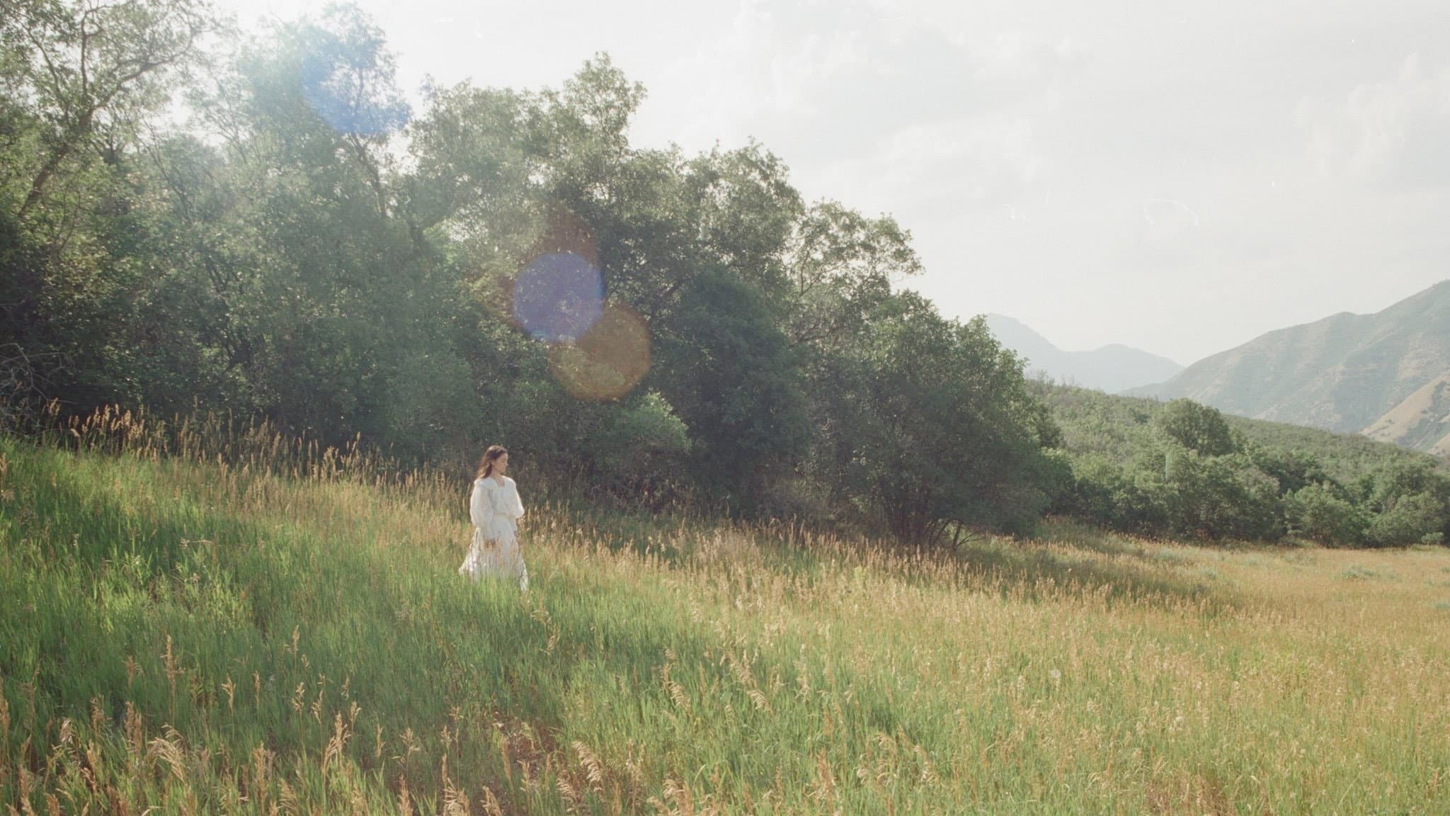 The Meadow - immagine