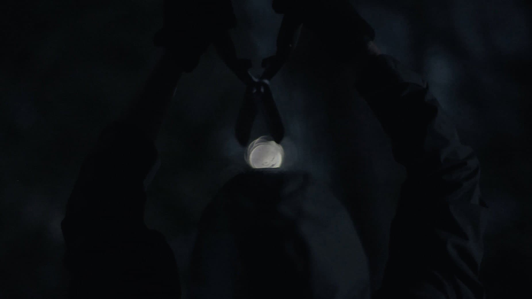 Deathwoods - immagine