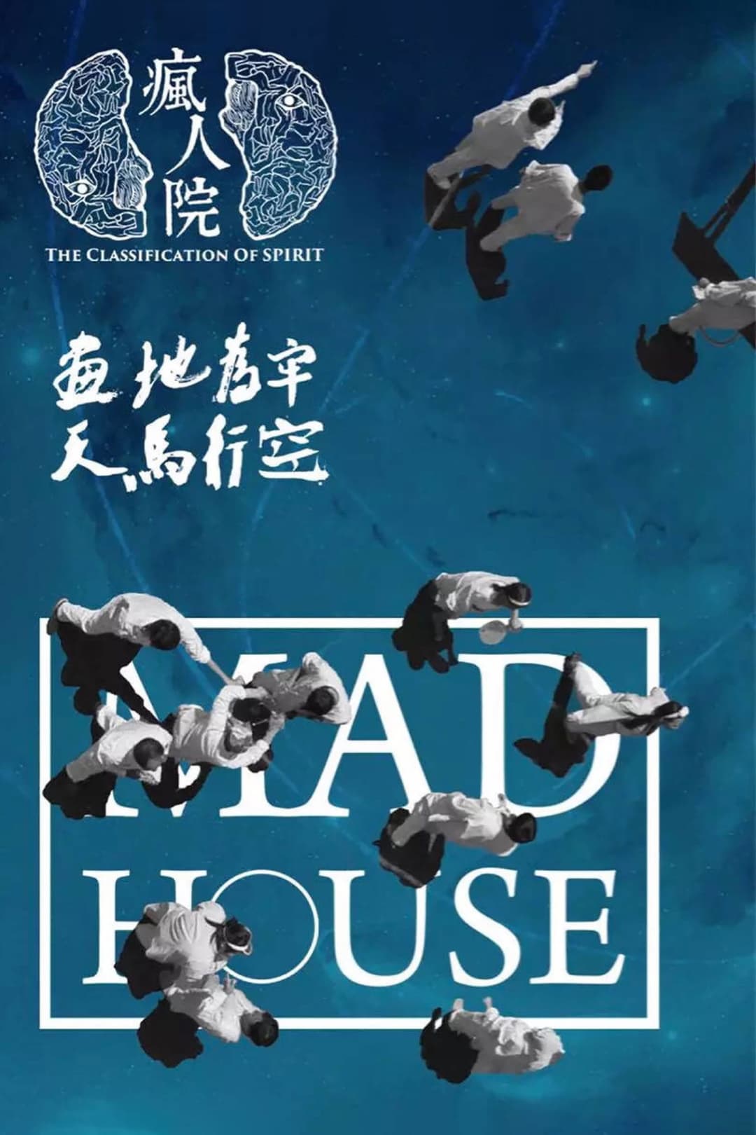Poster di 疯人院