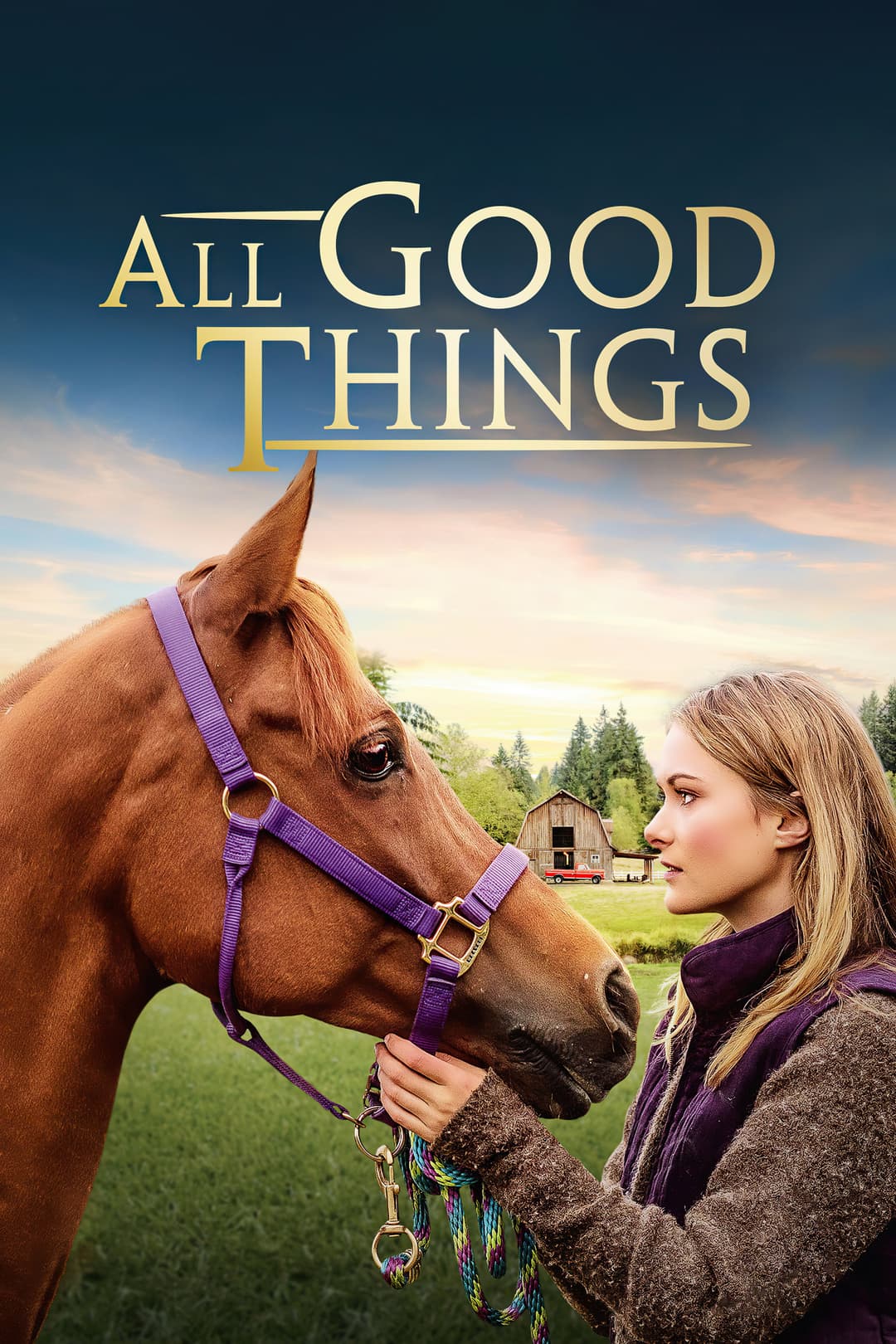 Poster di All Good Things