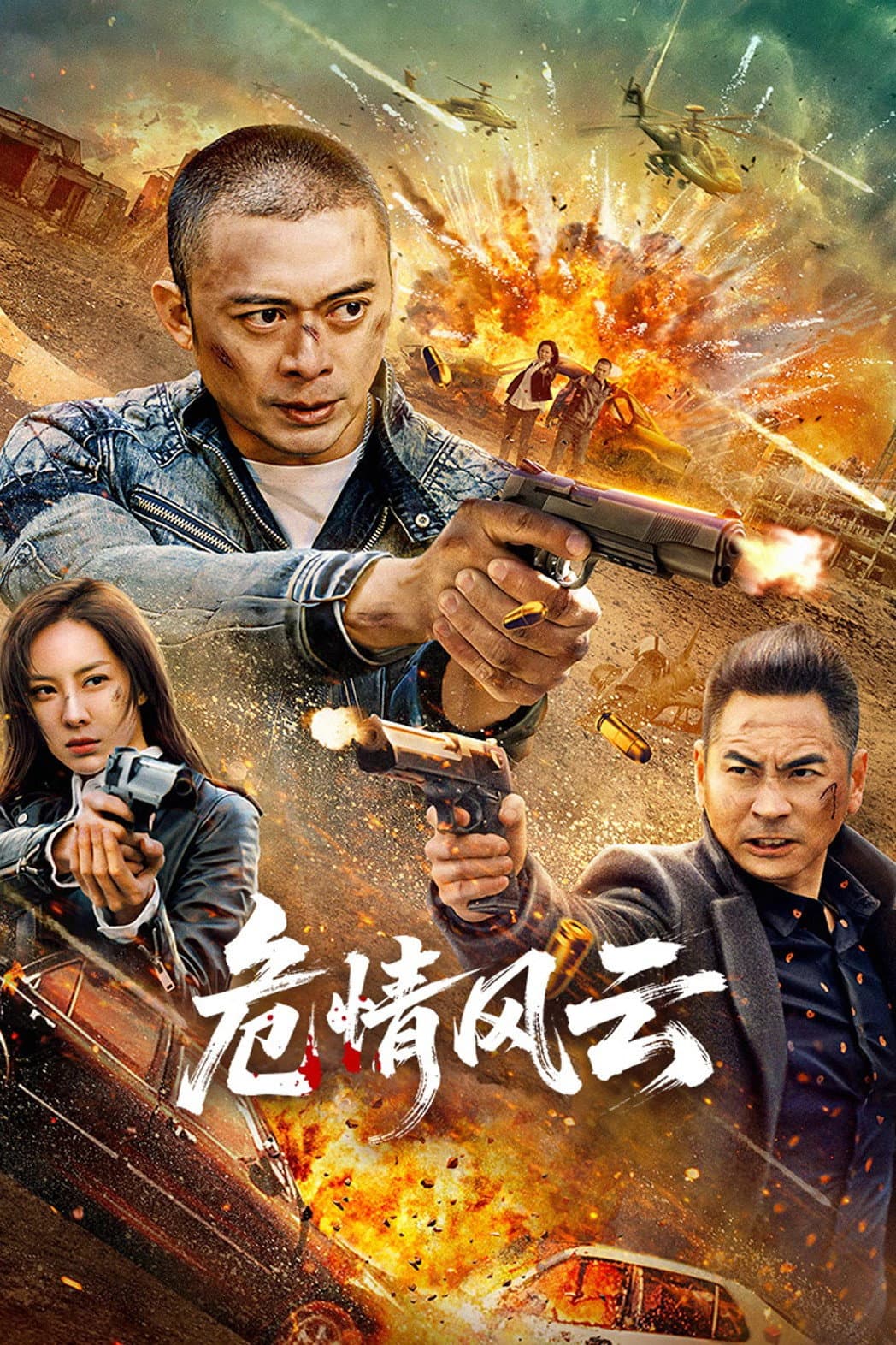 Poster di 危情风云