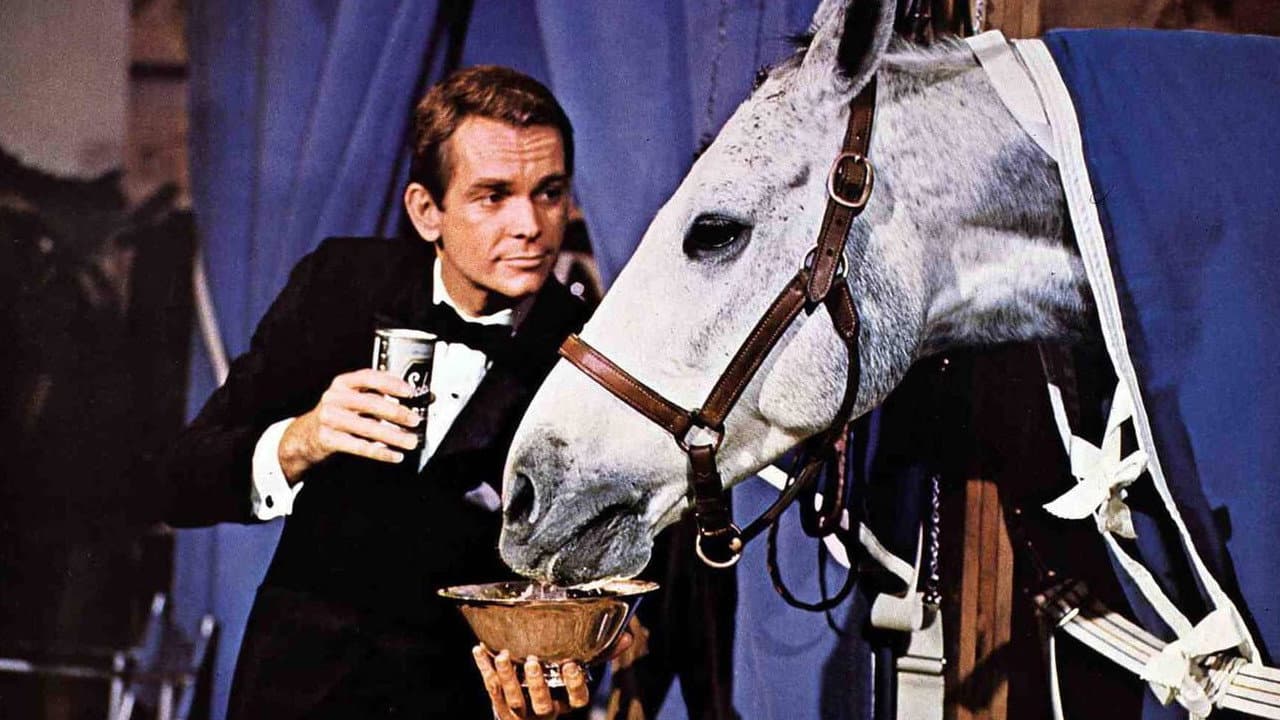 Il cavallo in doppiopetto - immagine