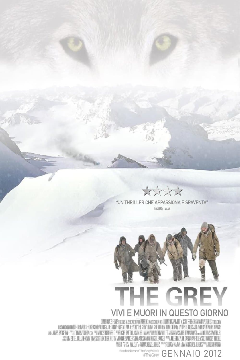 Poster di The Grey