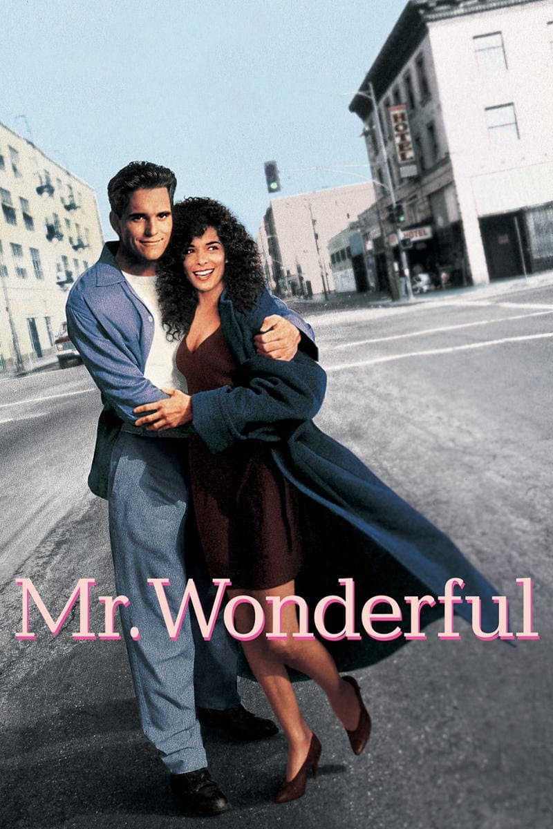 Poster di Mr. Wonderful
