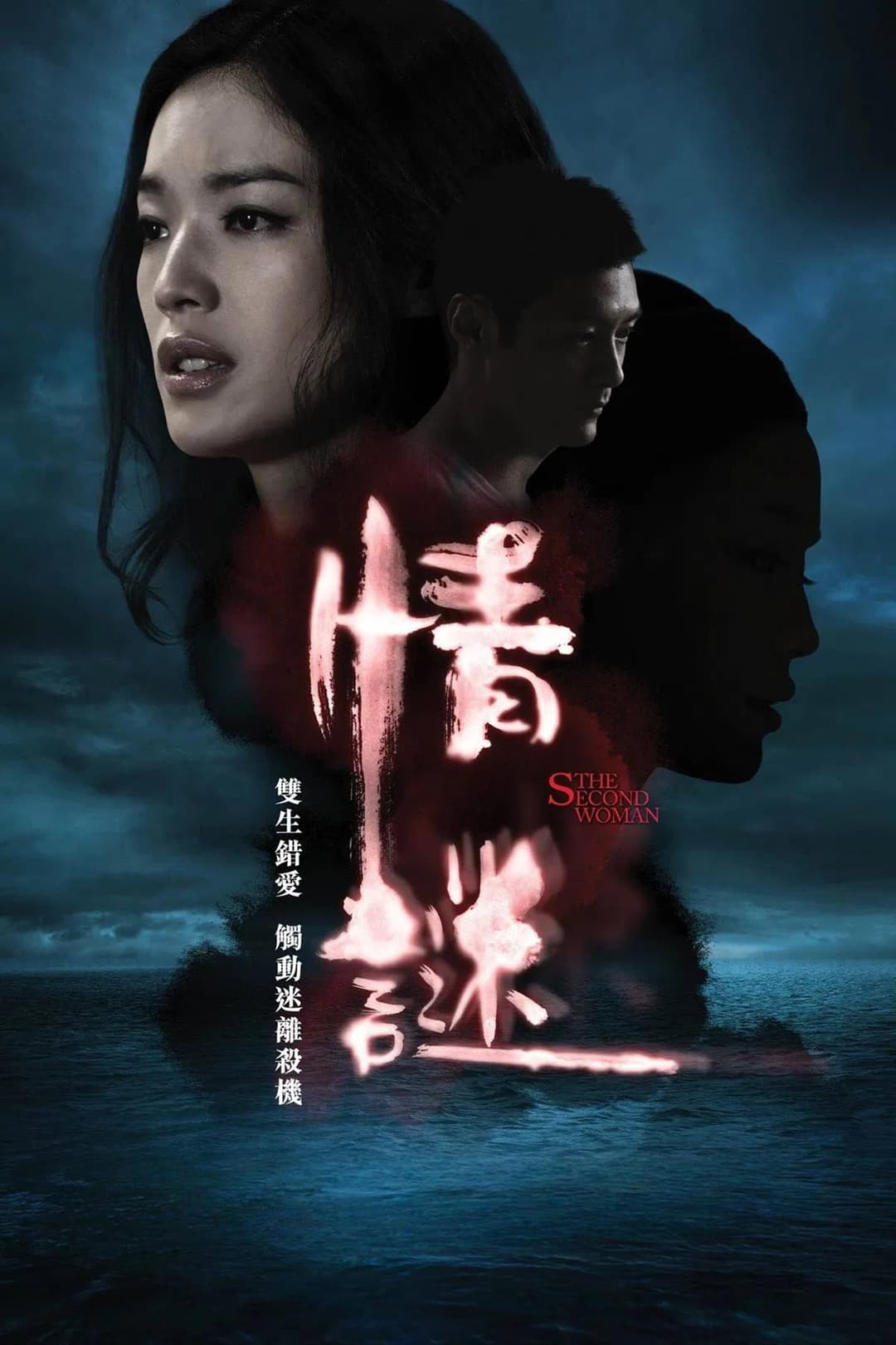 Poster di 情谜