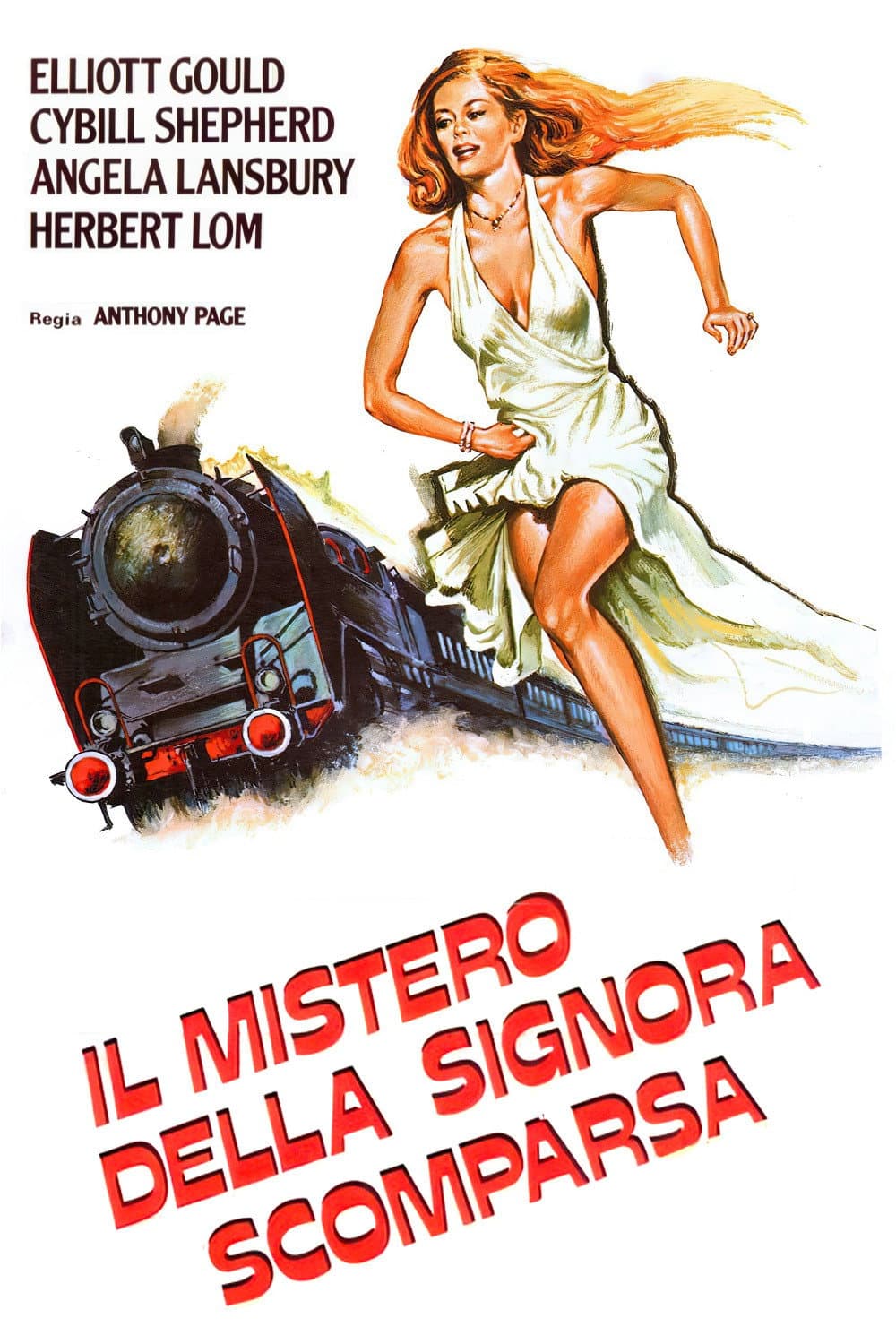 Poster di Il mistero della signora scomparsa
